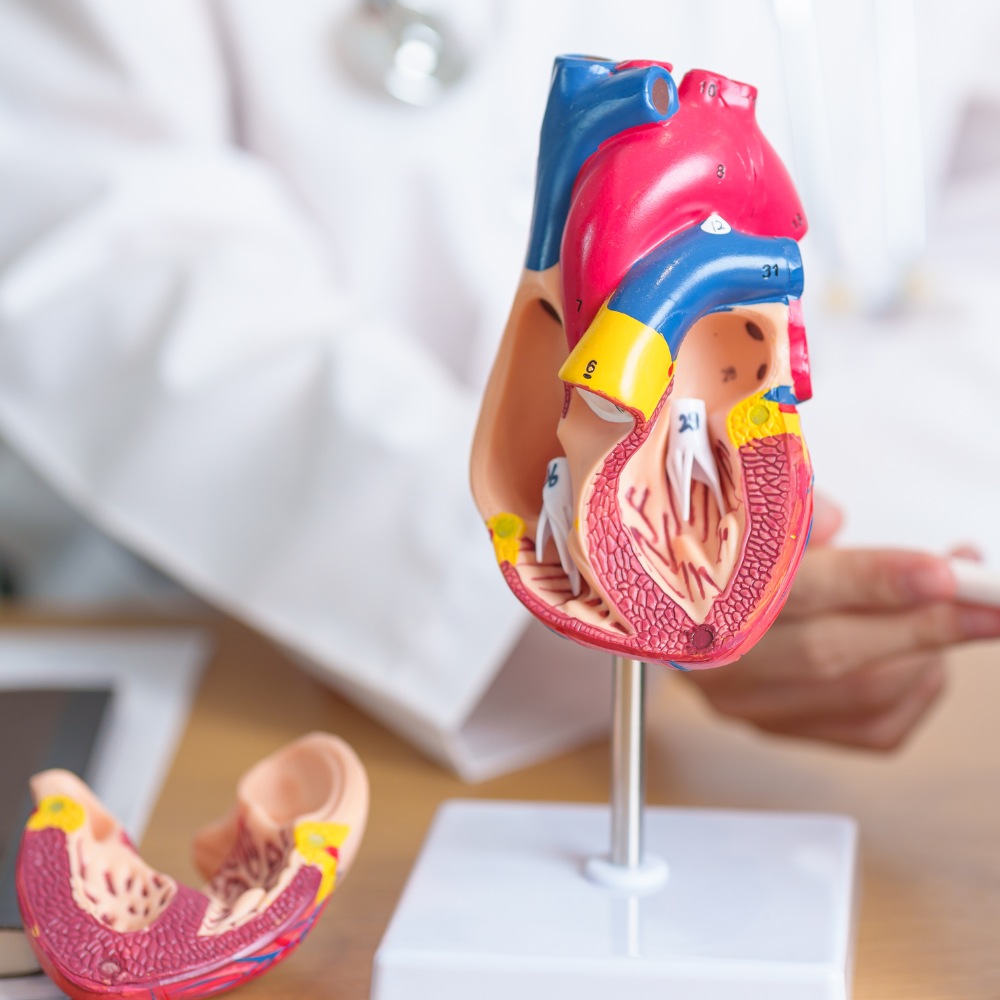 Can You Use a Blood Pressure Monitor with a Pacemaker? – BV Medical