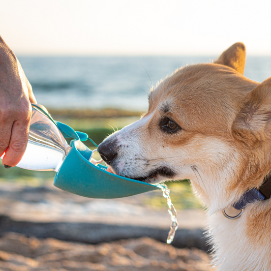 Keep Your Cool in Hot Weather