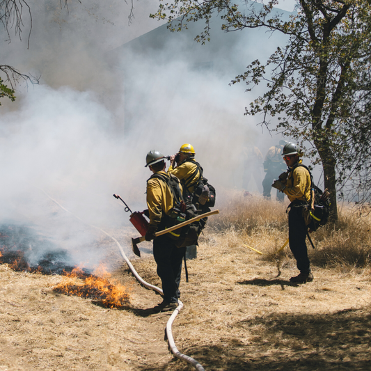 Wildfire Smoke