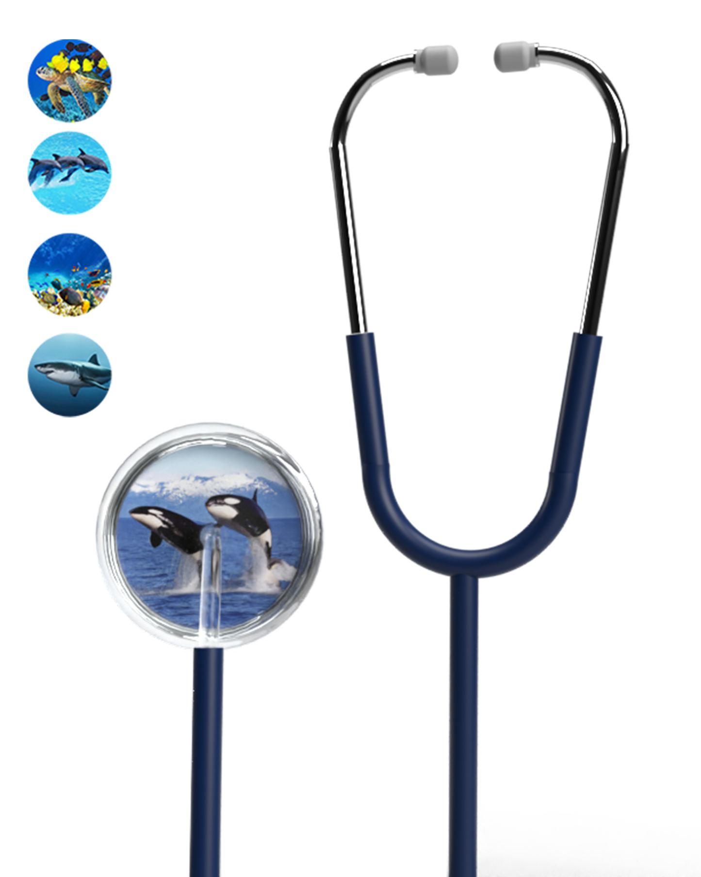 BV Medical Ocean Series Gemscope